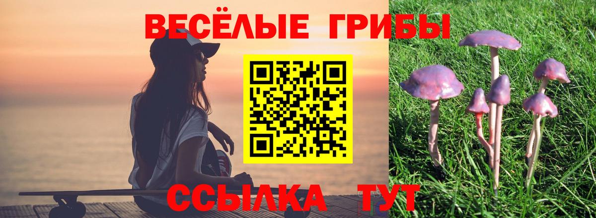 Галлюциногенные грибы прущие грибы  Галлюциногенные грибы GOLDEN TEACHER  Камышлов  Вход с VPN 